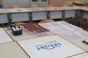 Na regijskih delavnicah za učitelje smo vzorčili in določevali vodne nevretenčarje. Foto: Urša Očko