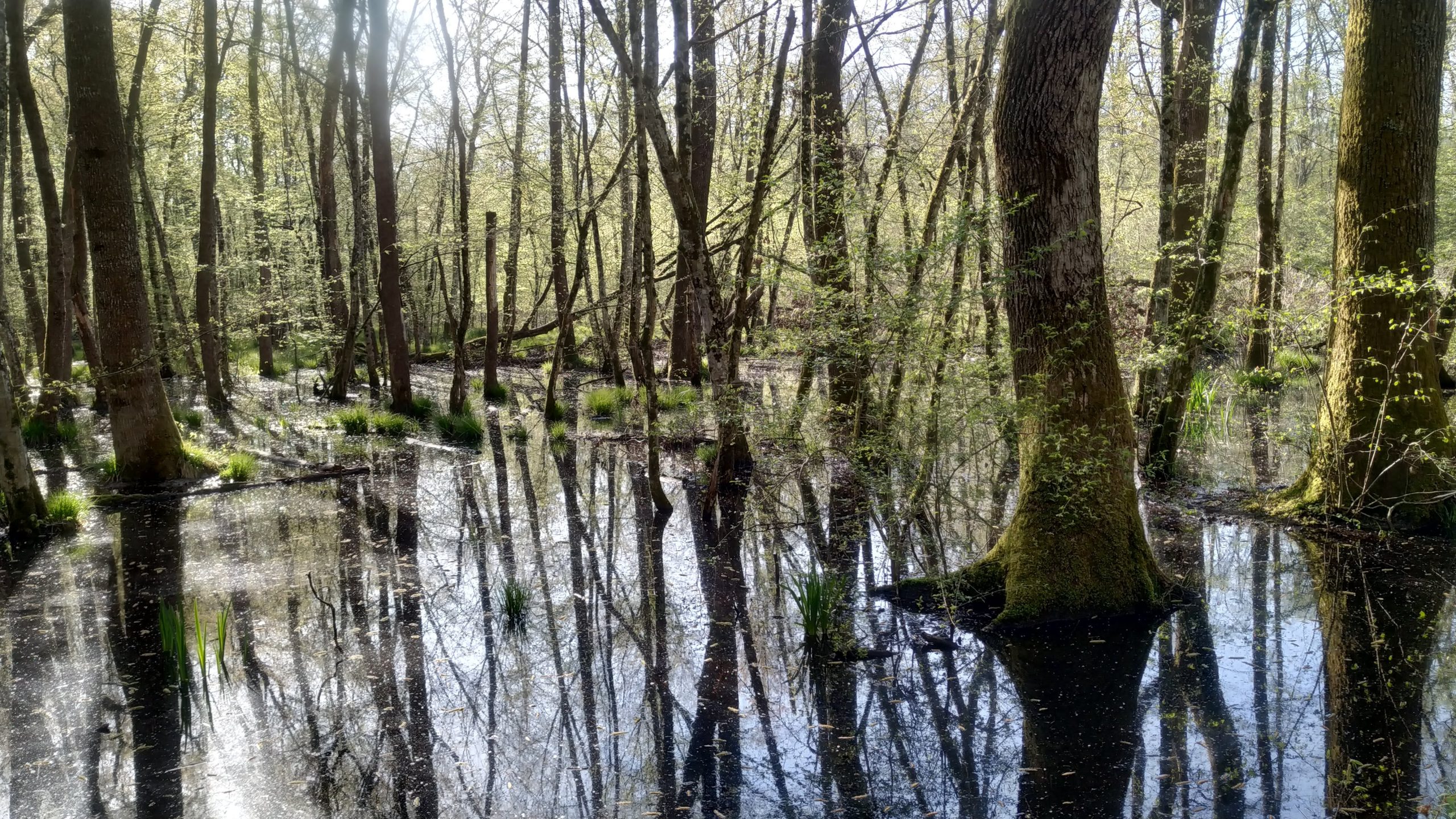 Life2rivers