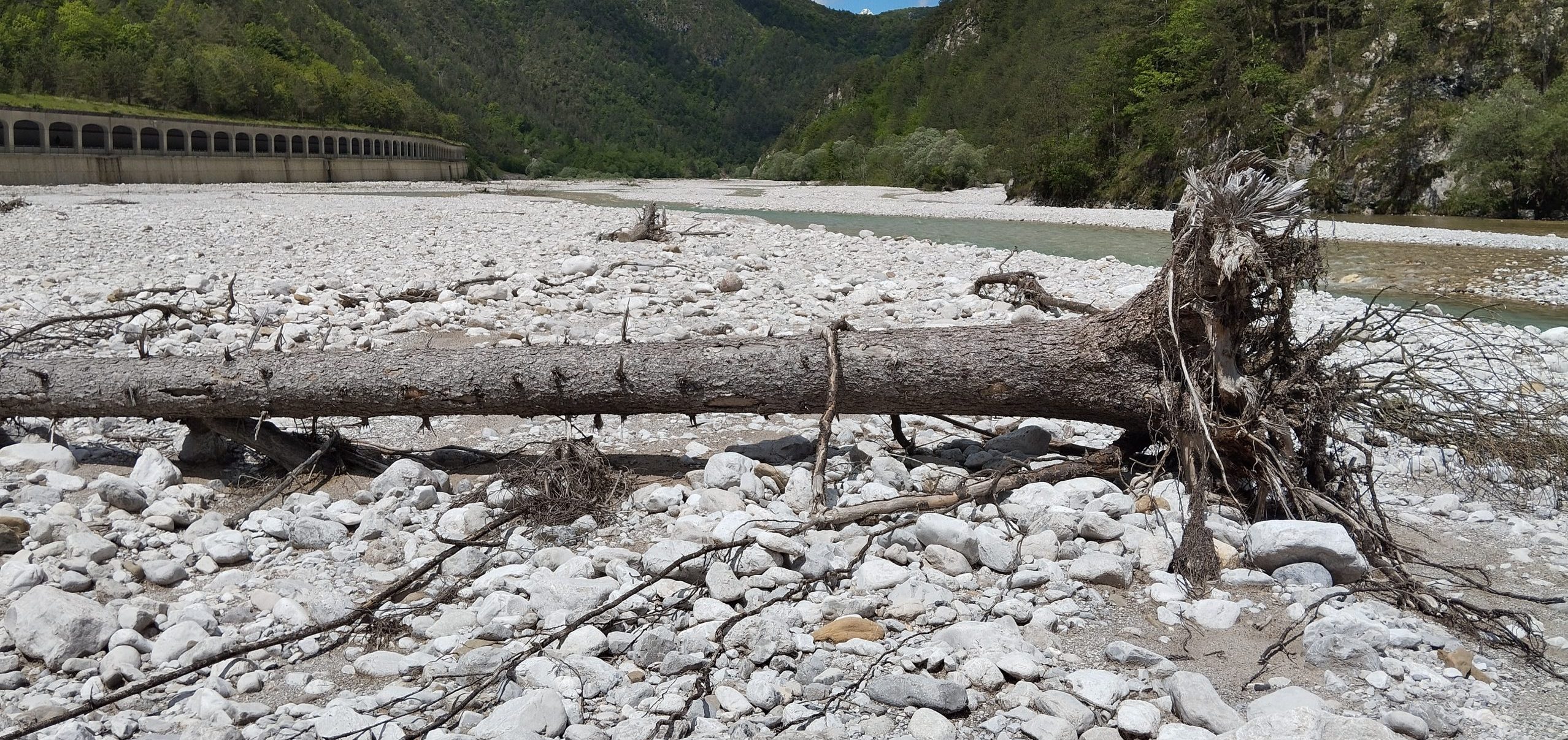 Life2rivers